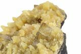 Honey Colored Barite Crystals on Fluorescent Calcite - Elk Creek #240831-3